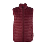 Men's Puffer Vest